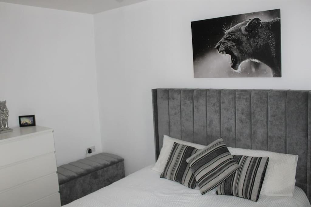 Lexden Lovely Modern Apartment Close To Town Centre מראה חיצוני תמונה